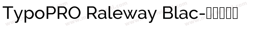 TypoPRO Raleway Blac字体转换